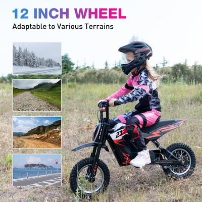 Voltastrive V9X – Mini Dirtbike Électrique 36V